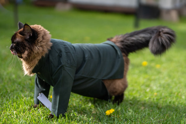 Dark Green Cat Kurta